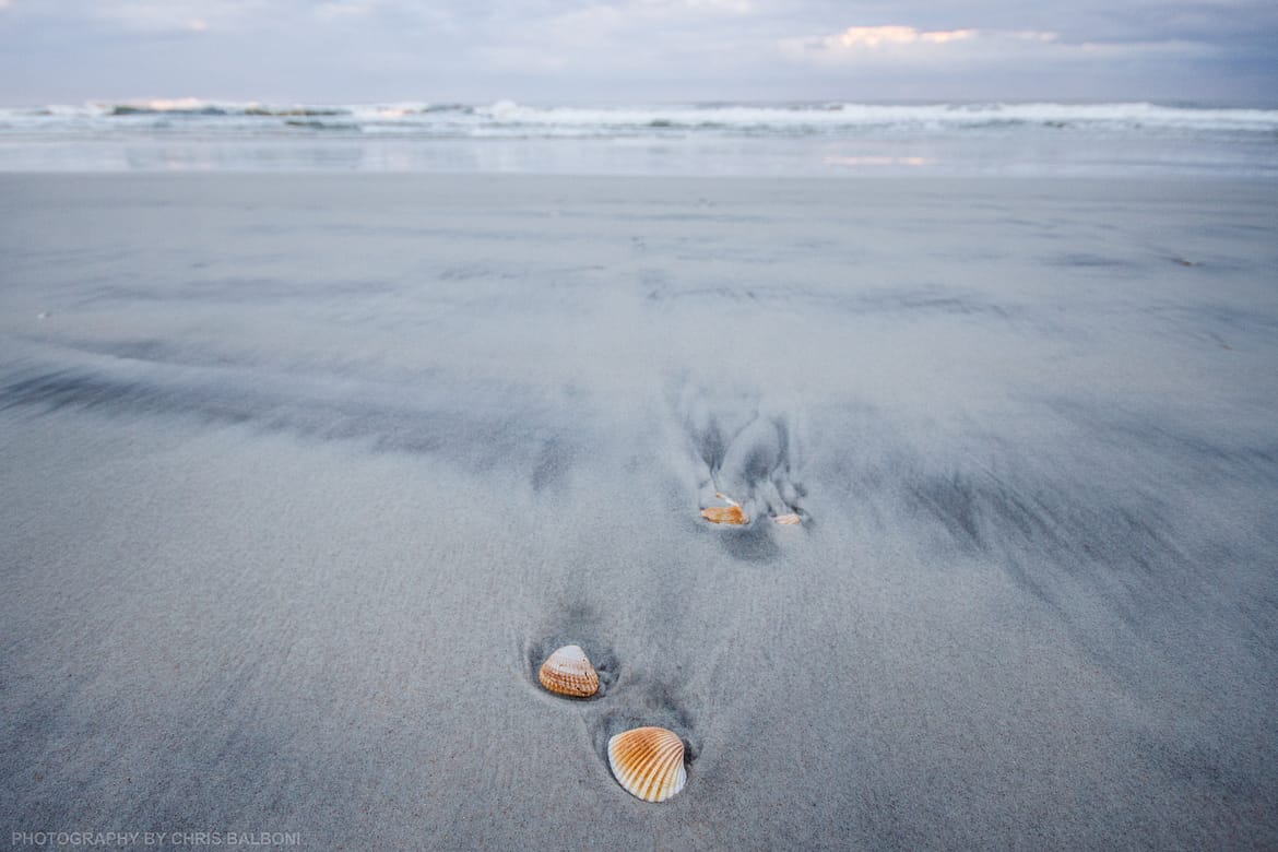 daytona beach florida shells natural deposit - Chris Balboni