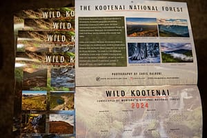 Montana Wild Kootenai Calendar 2024 - Chris Balboni