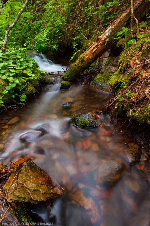 grouse creek kootenai national forest troy montana