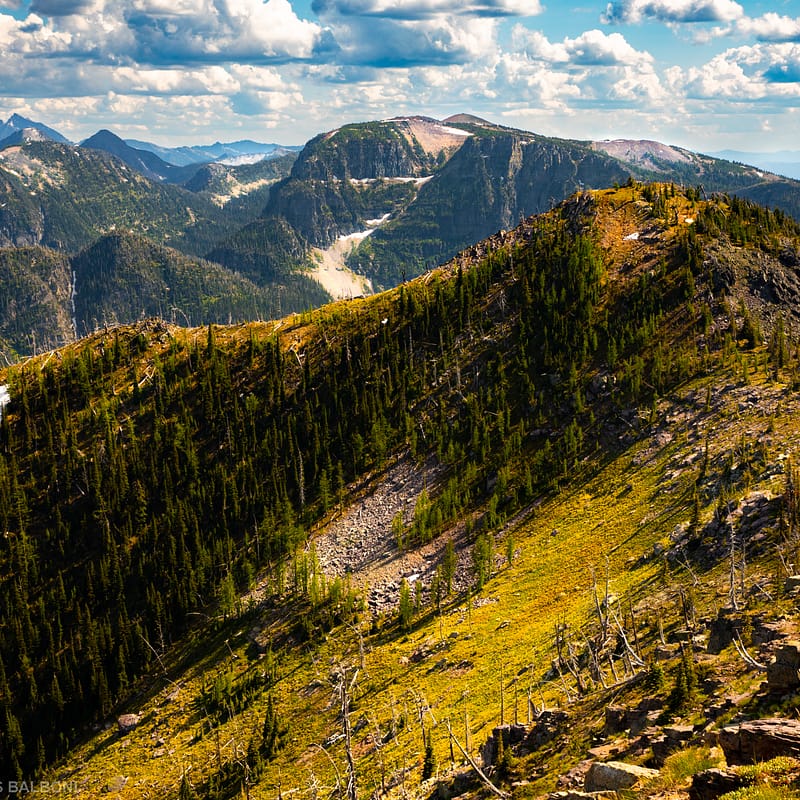Grambauer Mountain and Cabinet Mountain Wilderness Range